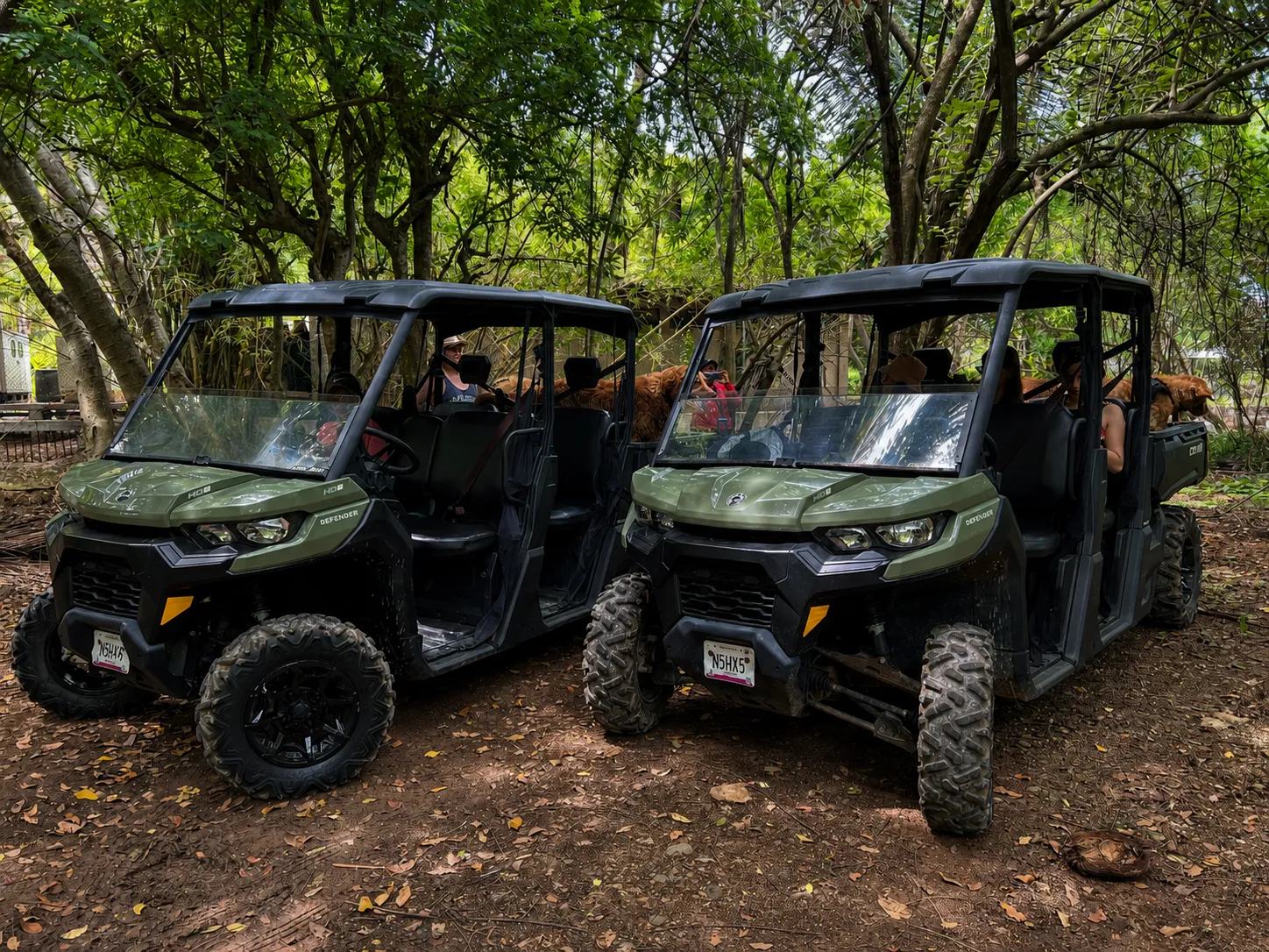 ATV Tours Chacala